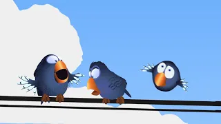 More The Birds  More The Birds