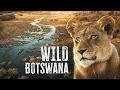 Download Lagu THIS Is the African Safari to Go On | Botswana’s Okavango Delta