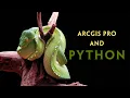 ArcGIS Pro and Python v2024