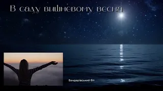 В саду вишневому весна Лірична українська пісня Бандерівський біт 2025 