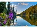Download Lagu Peaceful Music, Relaxing Music, Instrumental Music, \
