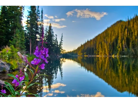 Download MP3 Peaceful Music, Relaxing Music, Instrumental Music, \