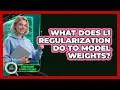 What Does L1 Regularization Do To Model Weights