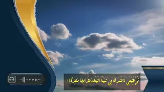 التوحيد التوحيد يا عباد الله الشيخ محمد بن سعيد رسلان حفظه الله 