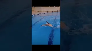 سباحه سبحان الله مصر Explore ترند الابطال 