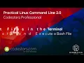 Create and Execute a Bash file - Practical Linux Command Line 2 0