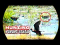 Download Lagu berburu burung gajahan di sawah pinggir jalan musim tanam @temashunter662