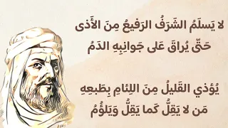 المتنبي  لهوى النفوس سريرة لا تعلم دندنها