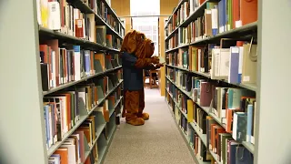 Midtown Studies in the Library
