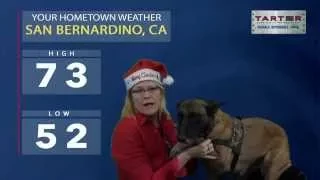 San Bernardino CA Weather Forecast