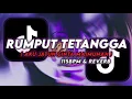 Download Lagu RUMPUT TETANGGA ( Aku Jatuh Cinta Maimunah ) 115BPM \u0026 Reverb - Viral Tiktok 2025