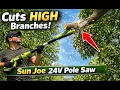 Sun Joe 24V Pole Chainsaw Review - Cutting High Branches Made Easy