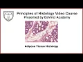 Adipose Tissue Histology