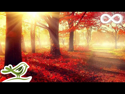 Download MP3 Beautiful Romantic Music: Relaxing Music, Piano Music, Violin Music, Guitar Music, Sleep Music ★101