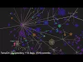 TerraChi Git Repository Visualisation