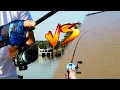 SPINNING RODS vs CASTING FISHING RODS What s the BEST FISHING ROD What s The Difference KastKing