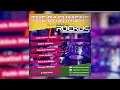 The Bashment 90s Dancehall Mix by Ruckus Sound