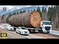 Download Lagu De la Selva Profunda a la Creación de Lujo: Proceso Épico de Transformación en una Mesa de Madera