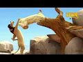Download Lagu High Jump | Leon the Lion | 90' Compilation | Crazy animals
