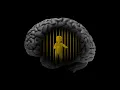 Why You Are Powerless In Changing Your Life