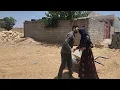 Download Lagu Unique moments: When the Nemat reaches Umm Al-Banin's arms,