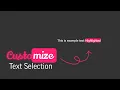 How to Change Text Selection Highlight in HTML and CSS