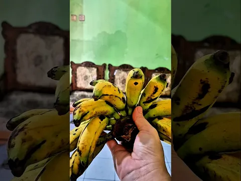 mau ngasih pisang buat nenek