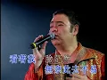 無奈丨張偉文丨張偉文唱好女人演唱會
