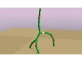 Evolutionary design in Framsticks maximizing height