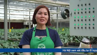 Đổi mới để phát triển bền vững nghề trồng hoa ở Mê Linh | Báo Công Thương