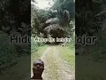 Download Lagu Hidup Itu Belajar