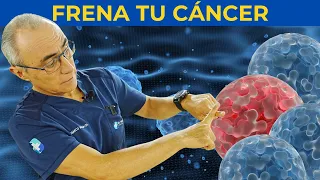 5 Superalimentos con Propiedades Anticáncer (Respaldados por la Ciencia) 🥦🧬