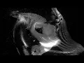 Wispy Real Time PointClouds - Touc esigner Tutorial