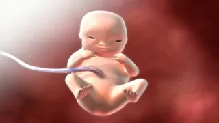 مشاري العفاسي يا أيها الإنسان ما غرك بربك الكريم 