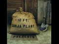 10Ft. Ganja Plant - Chalwa