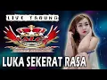 Lagu DJ LUKA SEKERAT RASA - OT RALES TABUNG PALEMBANG
