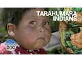 Tarahumara Indians Mexico Tribes - Planet Doc Full Documentaries