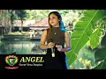 Download Lagu VERA PUSPITA ANGEL - Ragil pongdut