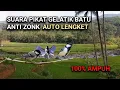 Download Lagu Suara Pikat Gelatik Batu Untuk Memikat Burung Yang Sering Dipikat/nggak mau turun.