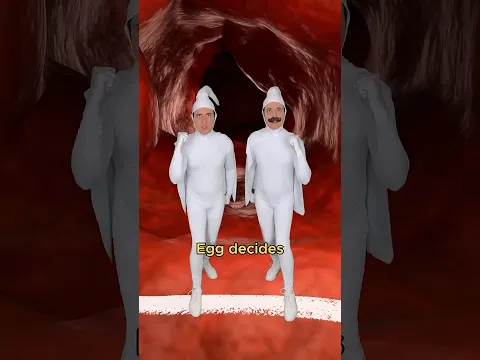 Sperm cells go to battle #comedy #music #biology