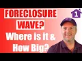 FORECLOSURE WAVE Where is it When will it Arrive How Big How Big a Discount can you Expect