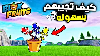اماكن رسبون الورود أسهل اماكن بلوكس فروت روبلوكس Blox Fruit 