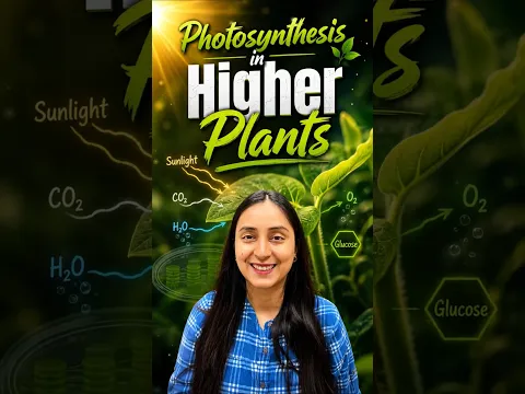 What is Photosynthesis? | Class 11 Biology #shorts #study #biology #neet #class11 #yt #revision