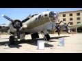 Wings of Freedom in Santa Maria