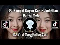 Download Lagu DJ SAMPAI KAPAN KAN KU BUKTIKAN-TUMETESE BANYU MOTO IKI MOCIL FVNKY VIRAL TIKTOK 2023