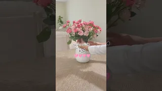 عبارات جميله بدون موسيقى ستوريات تيك توك عبارات عميقة ستوريات مارني  عبارات جميله بدون موسيقى ستوريات تيك توك عبارات عميقة ستوريات مارني