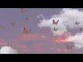 Pra sonhar -Marcelo Jeneci [ legendado/letra]