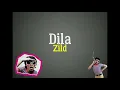 Dila - Zild Lyrics