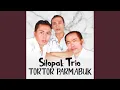 Tor-Tor Parmabuk