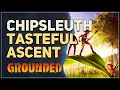 Chipsleuth Tasteful Ascent Grounded